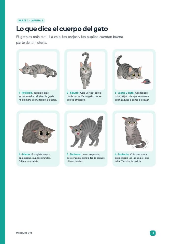 Página: lo que dice el cuerpo del gato