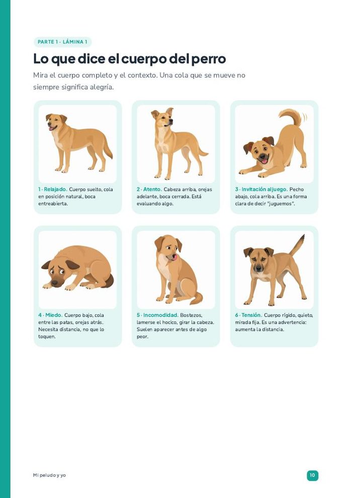 Página: lo que dice el cuerpo del perro